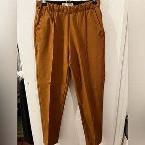 Everlane the Dream Pant in Copper Brown, XS